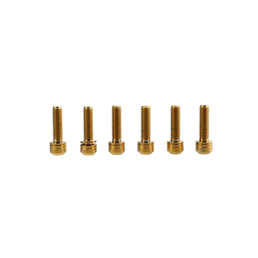 Велосипедные легкие титановые болты крепления выноса TC4 T25 Золотые S-PARTS (S-Parts) Высокая прочность (6 шт.)