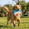 Bite-Resistant Interactive Dog Toy Durable Puppy Chew Toy Pet Teeth Cleaning Toy  Outdoor Game