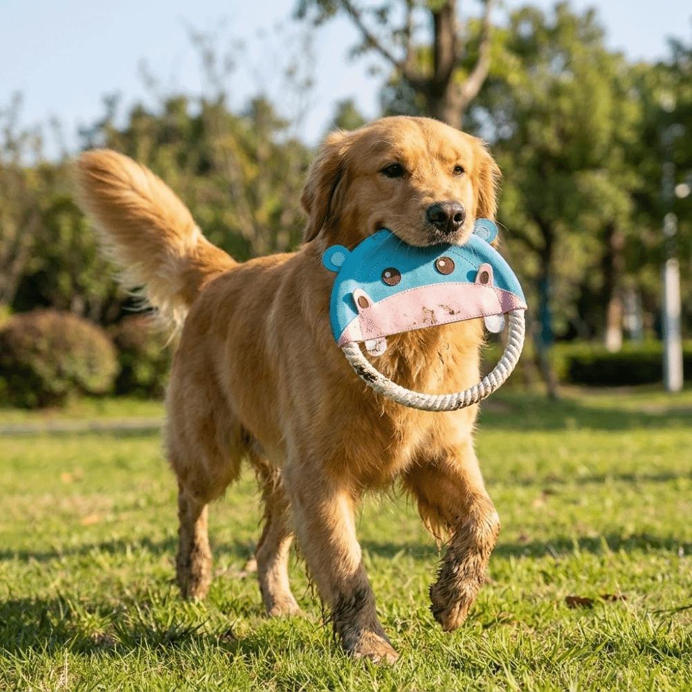 Bite-Resistant Interactive Dog Toy Durable Puppy Chew Toy Pet Teeth Cleaning Toy Outdoor Game
