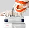 NICEDEN 29 цветов VITA Tooth guide 3D Master Dental Bleach Shade Guide Отбеливание зубов Сравнительная стоматологическая клиника Колориметрическая пластина