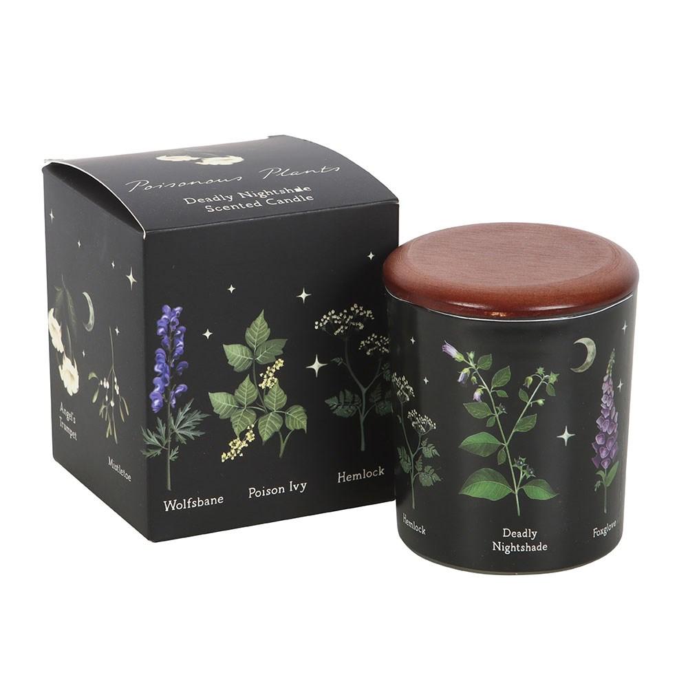 Something Different Deadly Nightshade Scented Candle