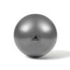 Adidas Gym Ball Grey 55cm