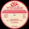 12-дюймовая пластинка E.T WEBSTER - Только представь (Какой Чудесный Мир NG129 Twinkle Music 1995 UK Регги, Ска и Даб Б/У