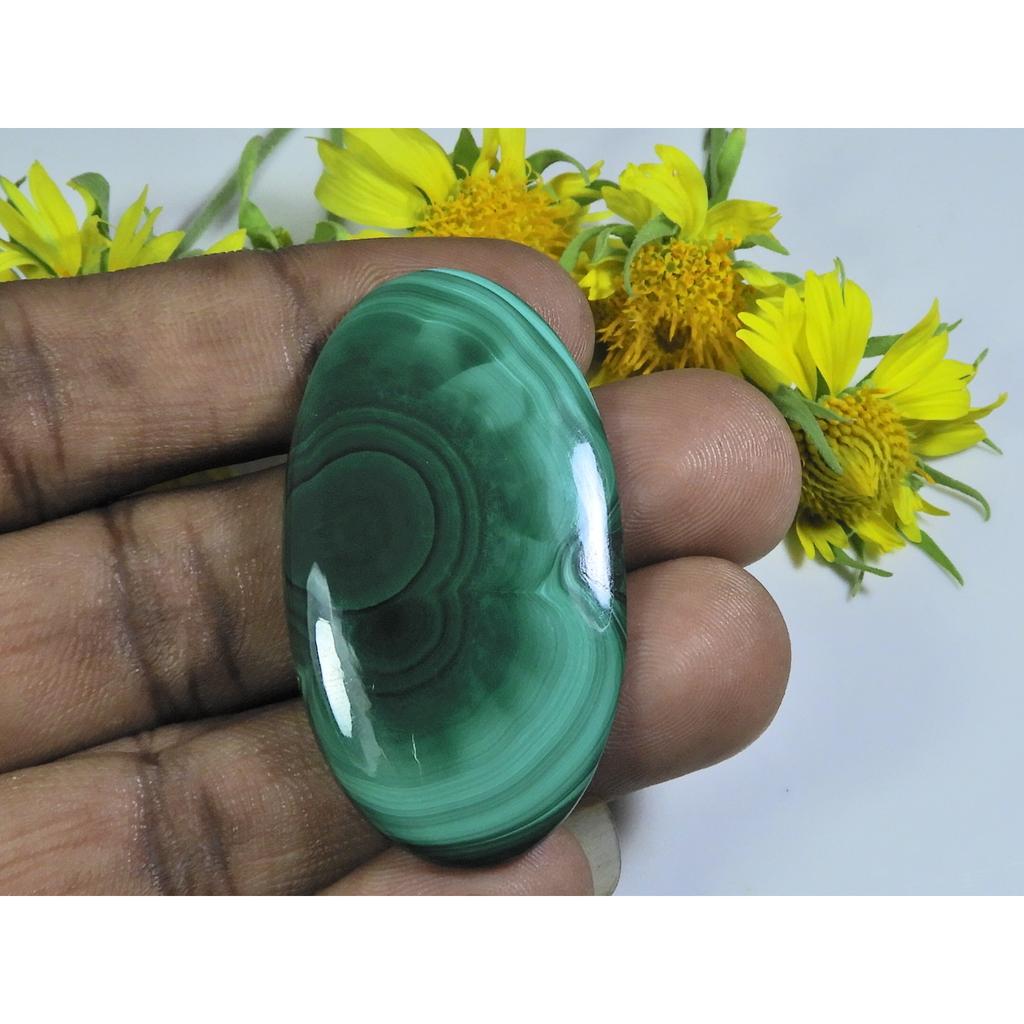 АА++ 75 карат. Натуральный зеленый малахит овальный кабошон россыпью драгоценный камень 25X47X04MM D-31