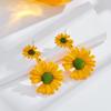 Женские цветочные личные летние модные украшения серьги-подвески серьги-ромашки серьги-подвески