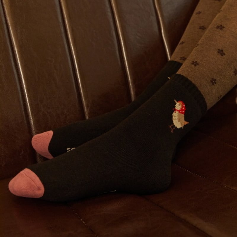 НОСКИ ПРИЗЫВ теплый красный шарф воробей