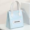 Handheld Lunch Box Bag Portable Thermal Lunch Pouch Gifts Food Box Handbag  Outdoor