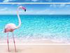 GLASS CUTTING BOARD 52x40 FLAMINGO