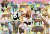 EPOCH Picture Full of 35 Piece Puzzle for ST Mark Includes Cleaning Toys for Ages 4 and Up EPOCH [Apollo Puzzle] Animals, Children, 25-229, Certified,