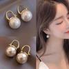 S925 Silver High-Grade Pearl Earrings - Niche Design for Women, Hypoallergenic, Elegant, Temperament Style