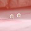 S925 Sterling Silver White Gold-Plated Cherry Blossom Stud Earrings - Mori Style Women's Fashion