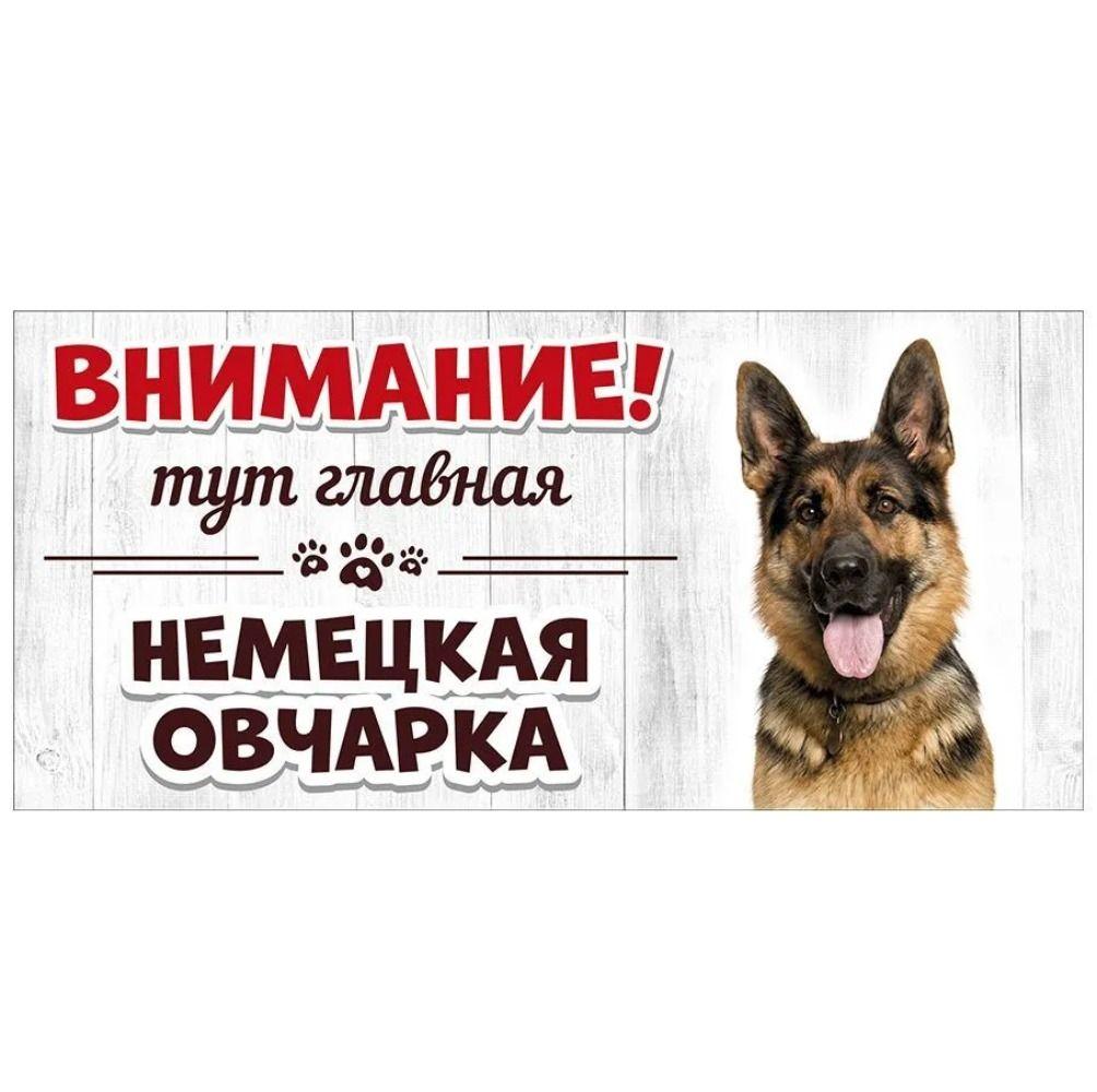 Злой Шпиц Померанский Знак, Металлическая Табличка на Дверь Забора 30x15см