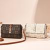 The New Print Texture Popular Bag with All Fashion Small Fresh All Instagram Shoulder Crossbody Bag