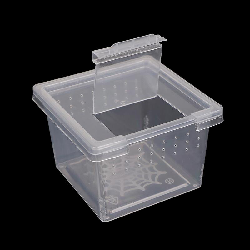 Plastic Insect Spider Habitat Feeding Box Case Container Tank Transport Case Toy