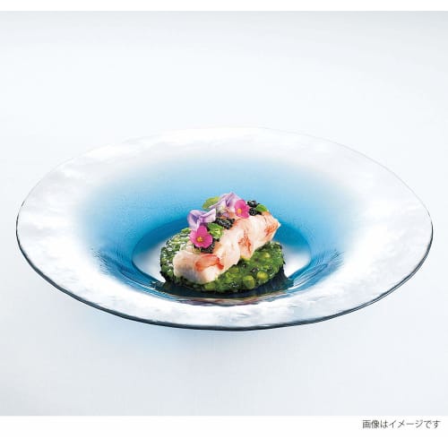 Toyo Sasaki Glass FUTAE Double Bowl 270cm, Made in Japan, Large Round Plate, Glass Dish, Tableware, 46163WSHB