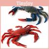 Realistic Marine Crab Animal Figurine Plastic Toy For Kids Educational Gifts