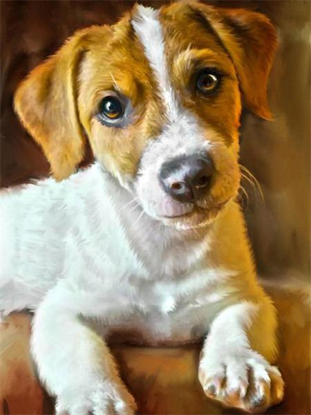 Full Round 5D Diamond Painting Dog Diy Embroidery Mosaic Animal Handmade Gift Home Decor