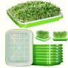 Of "Quick Harvest" Seed Germination Kits for Peas, Legumes, Wheat, and Pet Herbs - Hydroponic Germination Trays with Drainage Holes
