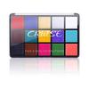 UCANBE Face & Body Paint Oil Professional 15 Color FX Makeup Palette
