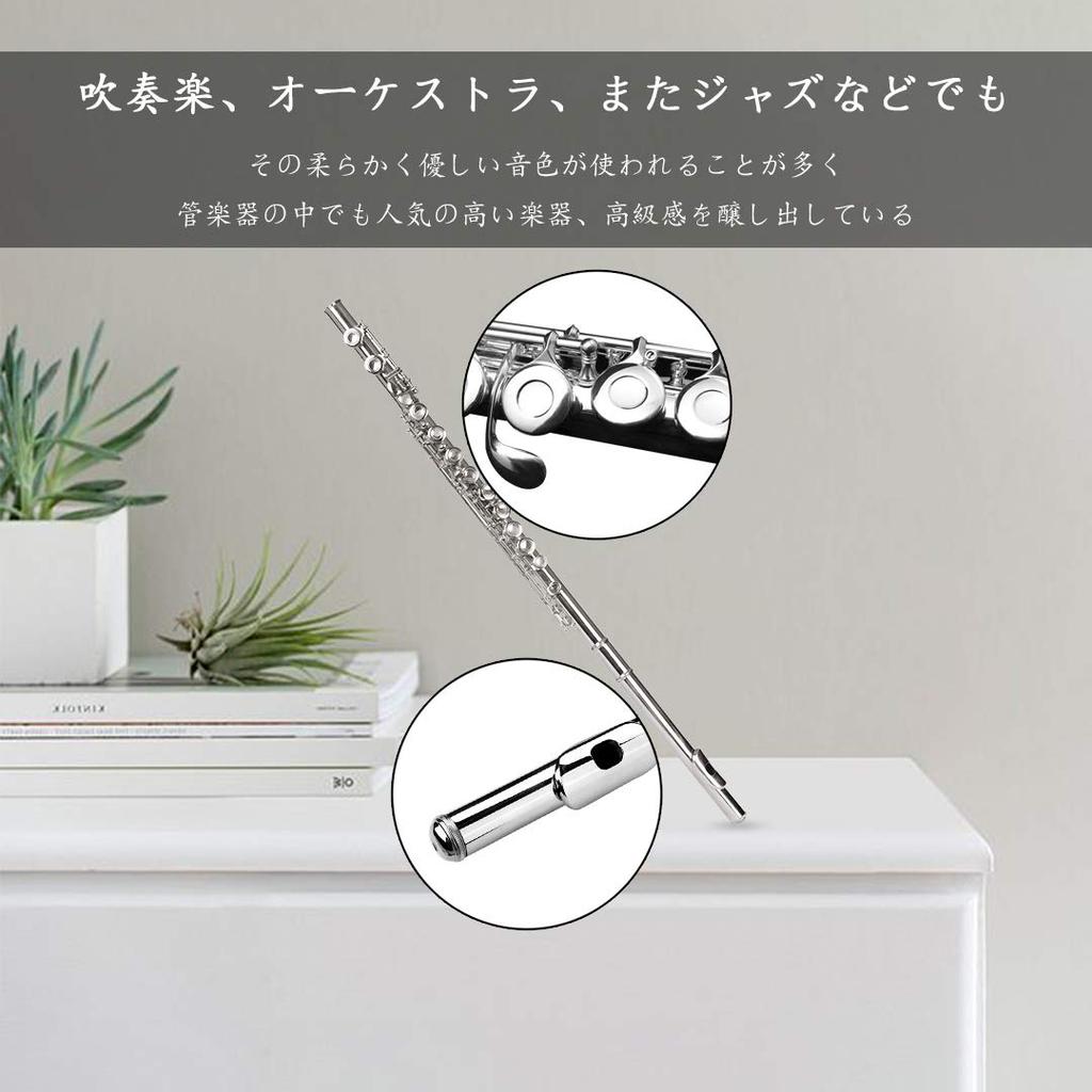 Сейка 16-клапанная флейта тональности C, никелевая, набор для начинающих