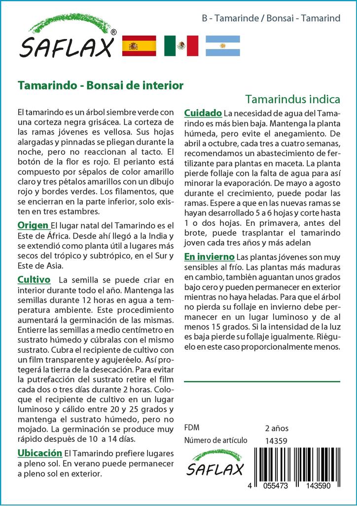 SAFLAX Garden in the Bag - Бонсай - Тамаринд - 4 семени - С субстратом в подходящем пакете-стойке - Tamarindus indica