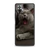 Чехол для телефона с британской короткошерстной кошкой для Xiaomi Redmi Note 12 5G 10C 10 11 9 8 Pro Plus 9S 7 8T 9T 9A 8A 9C K50 K40 игровой чехол