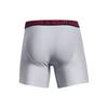 Under Armour Performance Boxerjock Logo Print Нижнее белье Мужское нижнее белье Серое 1361650-011