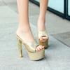 Sexy Slippers Women Summer Shoes Outdoor High Heels Platform Mules Ladies Luxury Designer Patent Golded Silver Sandals Lades