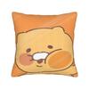 K-Kakaos F-Friends Choonsiks Pillow Cover  Soft Cushion Cover Novelty Pillow Case For Office Car Home Decor