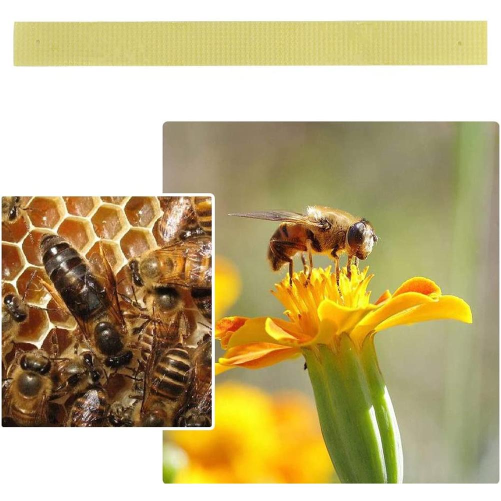 40 шт. Manhao Fluvalinate Stripes Mite Varroa Beekeeping Medicine