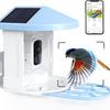 Wireless Smart Bird Feeder Camera with Real-Time Monitoring