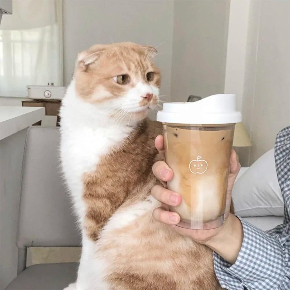 Transparent Water Cups 355ml/473ml Drinking Bottle Portable Water Bottle For Juice Milk Tea Coffee