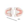 Azdent Dental Model Training Typodont Teeth Model For Dental Technician Practice Teaching Gum Teeth Jaw Model Resin Lab Tools