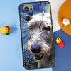 Irish Wolfhound Dog For Realme C55 C67 C61 C75 C53 C51 C21Y C25S GT 6 6T 5 GT7 Pro 10 11 12 13 14 Pro Plus Case