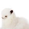 INJOI Plush Alpaca Toy, Fluffy and Cute, Handmade with Rare Natural Alpaca Fur, Perfect for Anniversaries and Special Occasions, Gift (15cm, White,