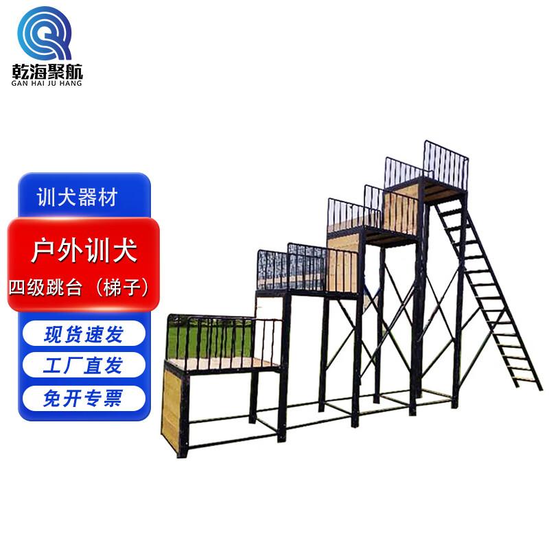 Professional Outdoor Dog Training Equipment