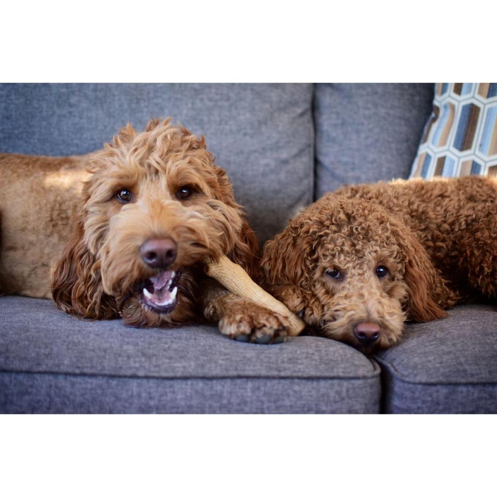Petstages Woody Tough Stick Средний PTPS217