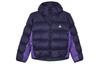 ACG AS W ACG TFADV LUNAR LAKE Пуховик Пальто Женский Фиолетовый FB8001-555