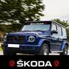 Автомобильная наклейка Декоративная 3D наклейка на переднее и заднее крыло автомобиля Для Skoda