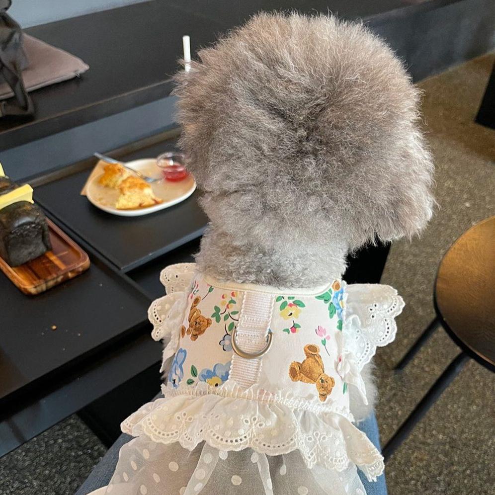 Профессиональный комплект поводков для собак и кошек, регулируемый кружевной цветочный жилет для домашних животных, милое платье принцессы для щенков, юбка, поводок для прогулок для чихуахуа