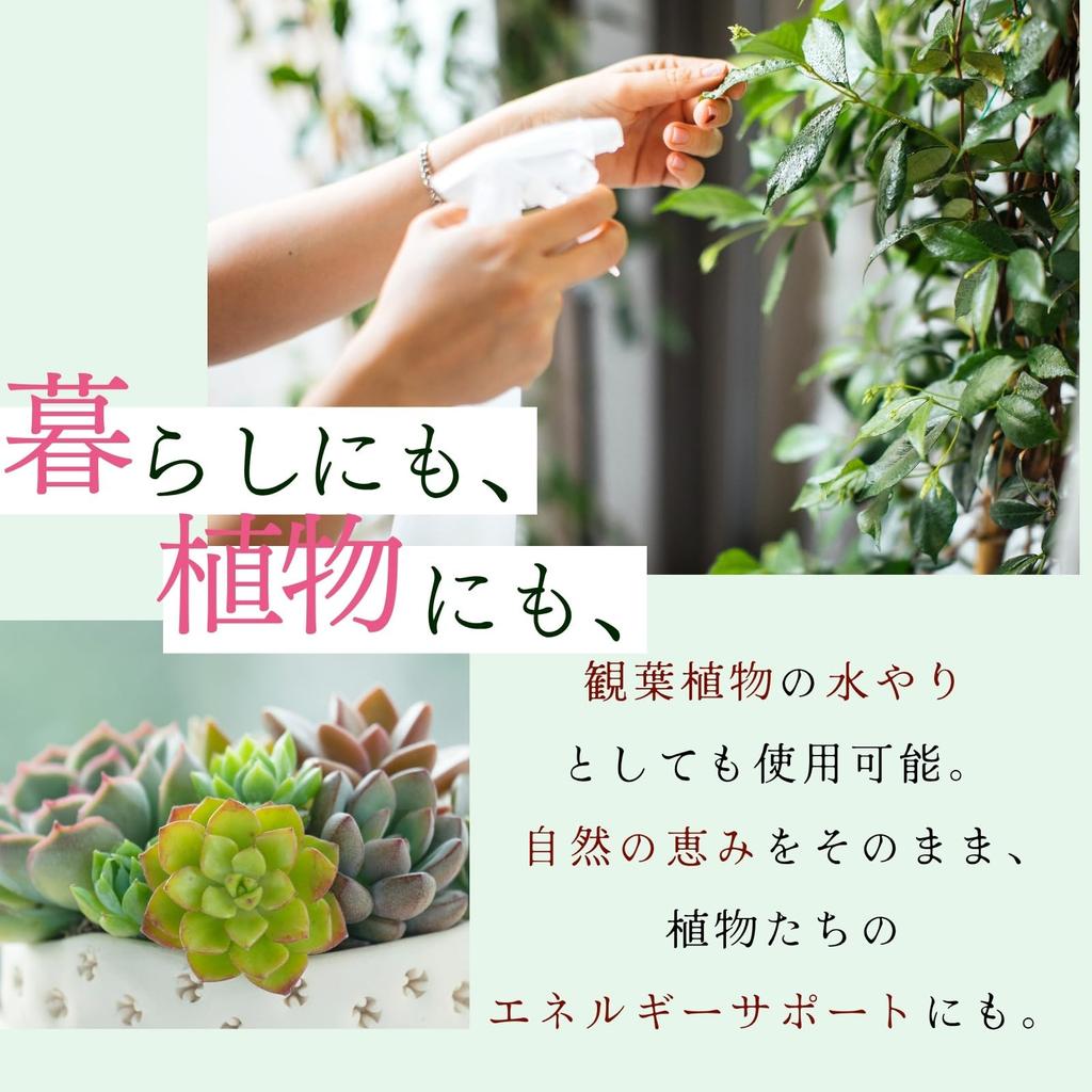 Makomo Distilled Water First Makomo Lotion Refreshing with a Unique Fragrance Premium Natural Spray 100ml [Makomo JAPAN] – Japan's