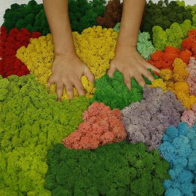 1 сумка с изображением оленей, микро ремесло, цветок, растение, пейзаж, искусственный сказочный декор, трава, свадьба