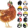 2Pcs Chicken Helmet Small Pet Hard Hat Bird Duck Quail Hat Headgear Pet Chicken Helmet Bird Head Helmet Pet Supplies