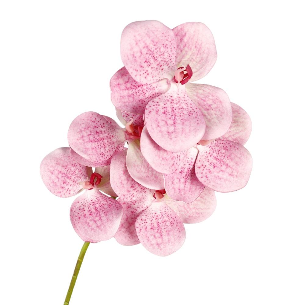 Real Touch Artificial Vanda Orchid Flower Handmade Faux Phalaenopsis  Wedding Party Favors