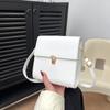 Новая однотонная ретро 2025 осень новая трендовая текстура модная простая сумка кроссбоди на плечо маленькая квадратная сумка женская