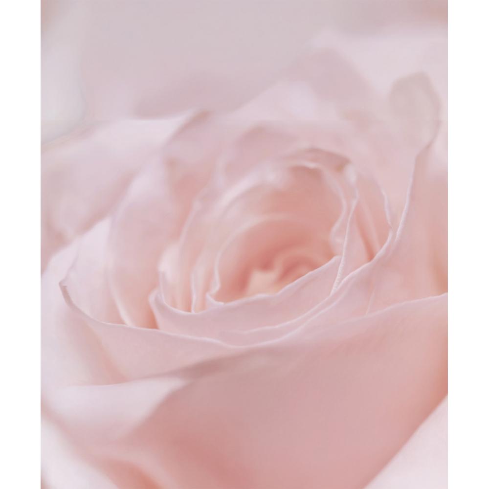 Thim Beauty Розовый мист для сияния с ПДРН 100 мл