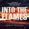 Into the Flames by James Delargy Paperback Book 9781398525146