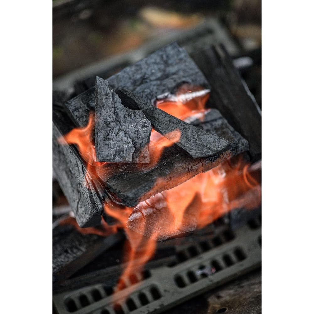 Snow Peak Pro L Charcoal Grill for 5-6 People, Portable, Easy to Clean, Outdoor Cooking Tool