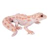 Ubia Leopard Gecko Yellow Pink Magnet X X 4cm Doll Figurine Ornament Animal Garden Decoration Realistic Cute Reptile H21170 10.5 9.5