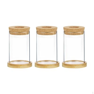 3 Стеклянных контейнера для установки для выращивания и размножения растений